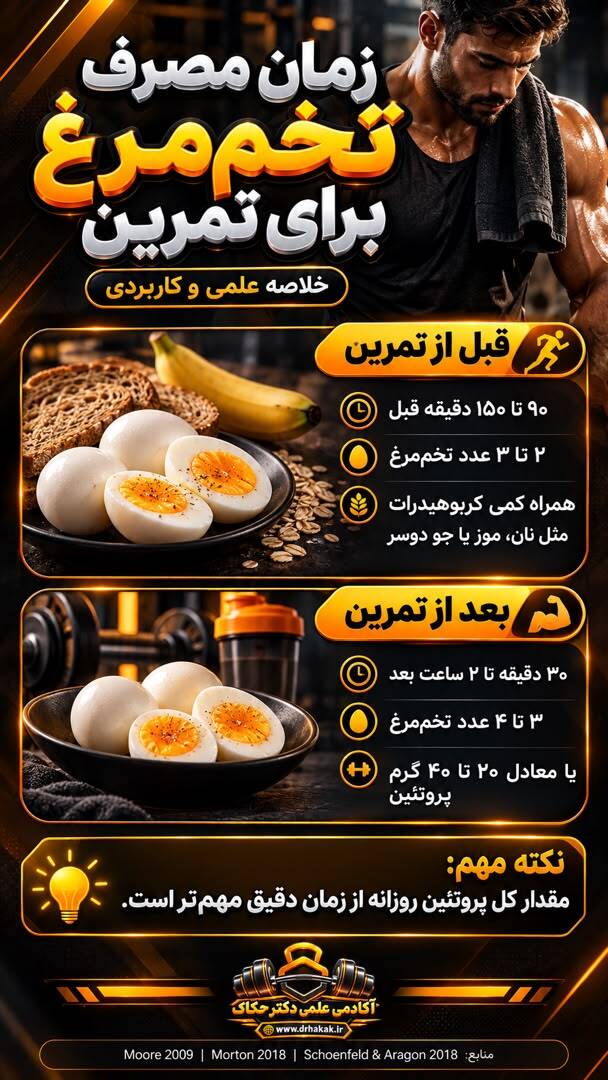 چند تخم مرغ بخوریم؟
