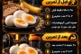 چند تخم مرغ بخوریم؟